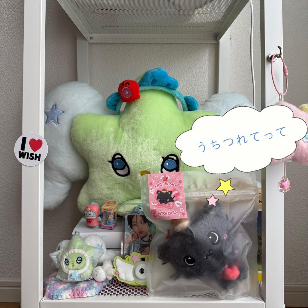 

[USED] NCTWISH wishdoll Steady MD stuffed toy Riku