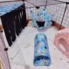 Speelbuizen voor Hamsters Bospatroon Schuilplaats Tunnel Speelgoed Huisdierbenodigdheden voor Cavia Konijn Egel Chinchilla