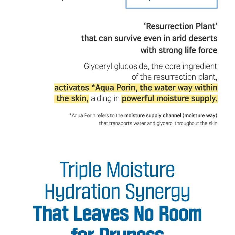 ROUND LAB - Birch Juice Hand Cream