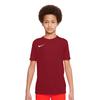Childrens/Kids Dry Park VII Jersey