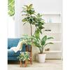 LEAD STYLE Eco Friendly Pot 31 White EGPL3129WH Lead Shoji Size X H29cm Pot Pot Cover Simple Pot 31 No.8