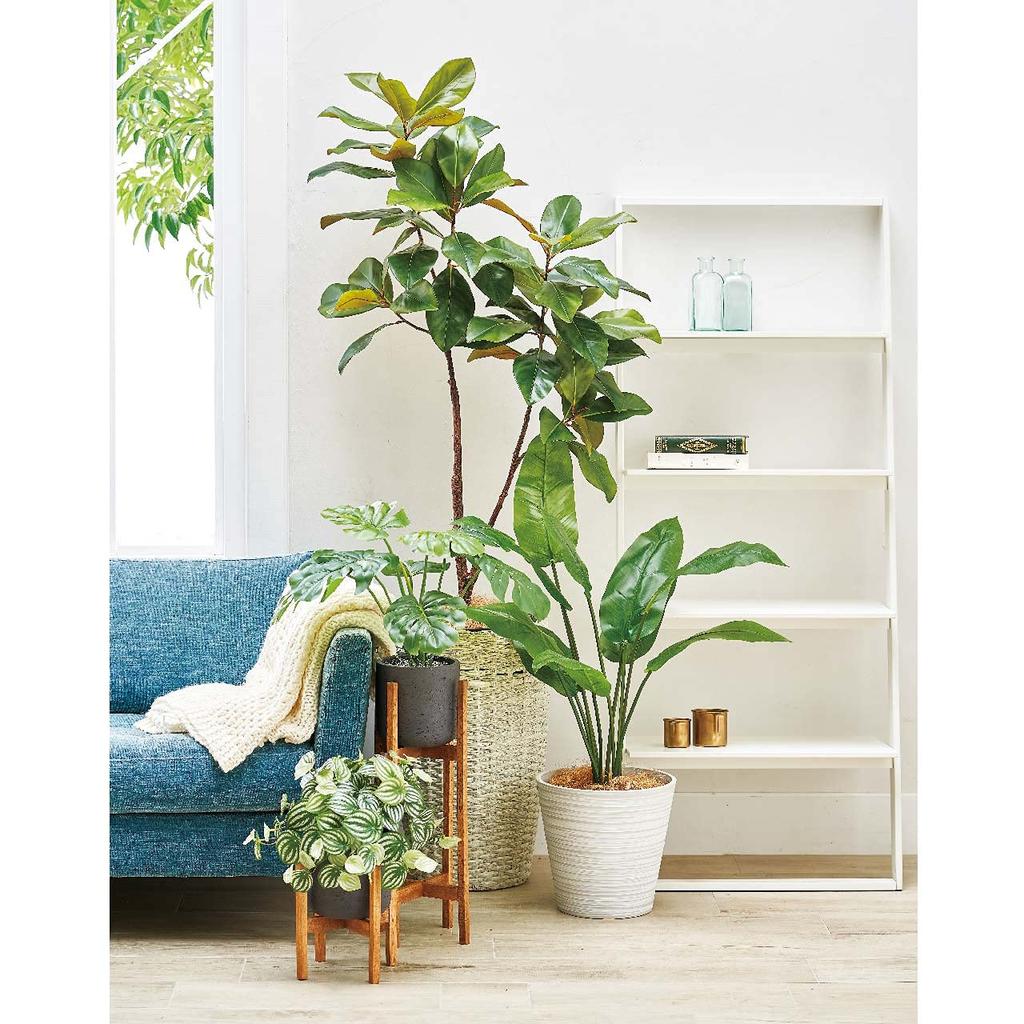 LEAD STYLE Eco Friendly Pot 31 White EGPL3129WH Lead Shoji Size X H29cm Pot Pot Cover Simple Pot 31 No.8