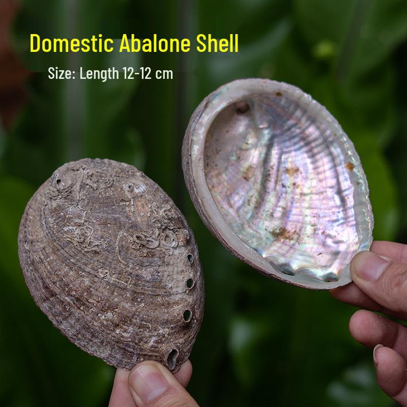 White Sage, Blue Sage, Cedar Stick, Palo Santo, Incense Tower, and Abalone Shell Set
