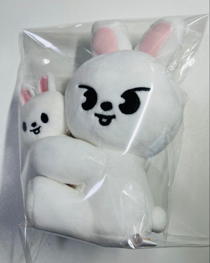 

[USED] SKZOO MAGNET PLUSH SET Leebit