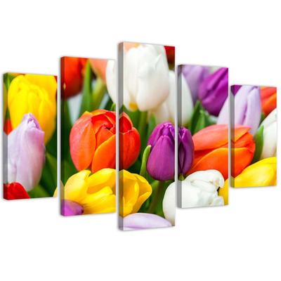 Five Piece Picture Canvas Print Colourful Tulip Flowers