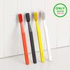 Rucipello Coral Reef Toothbrush 4-Pack (Disney Edition) (+Sticker)
