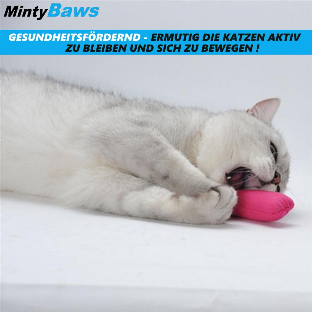 MintyBaws Catnip Pillow Cat Toys Cat Activity Mint Set of 5