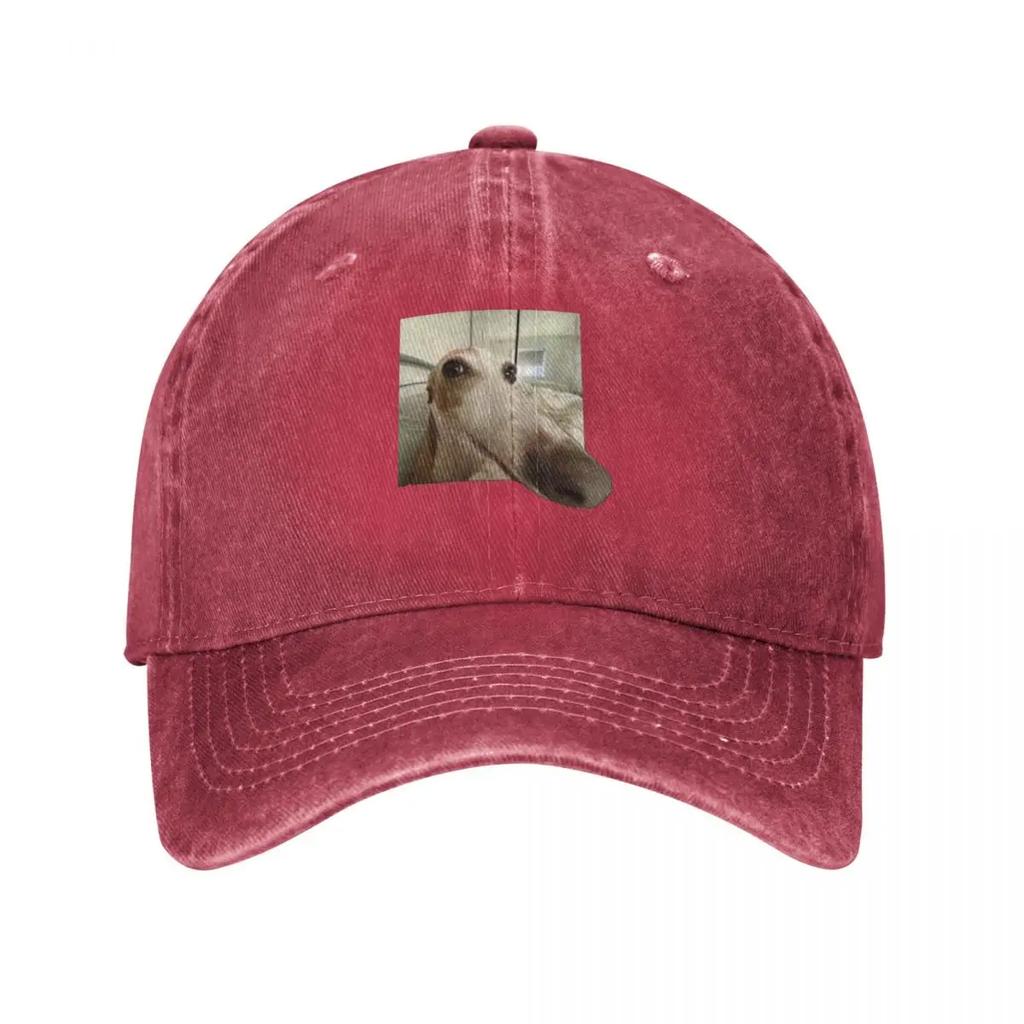 Funny Dog Baseball Cap hats on offer New In Hat Winter hat designer cap For Women Unisexs