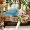With Clip Bird Cage Feeder Transparent Pet Bird Feeder Parrot Food Bowl  Small Pet Bird