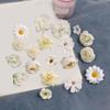 Exquisite Decorative Flower Artificial Flower for Wedding Bridesmaids and Groomsmen Artificial Blossom and Leaf