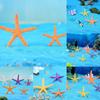 Cute Cartoon Mini Starfish Resin Ornaments For Aquarium And Fish Tank Decoration