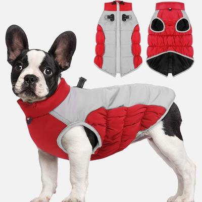 Abbigliamento e scarpe – Cappotti e giacche per cani