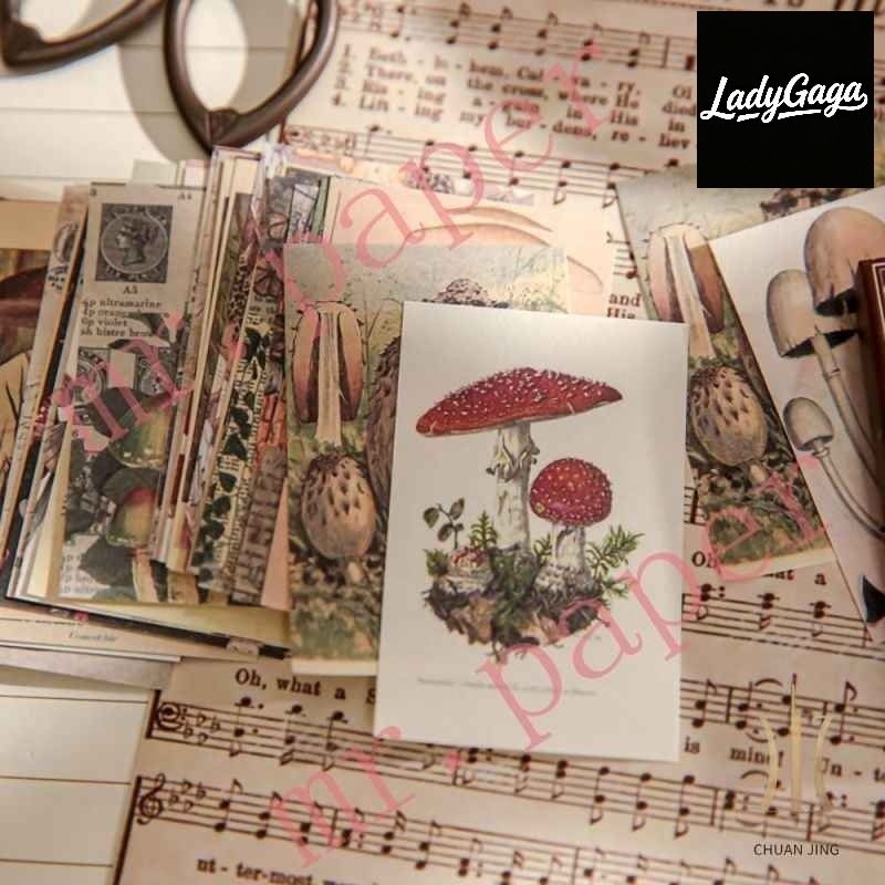 Automobile Front Windshield Sticker 21*130CM One Size