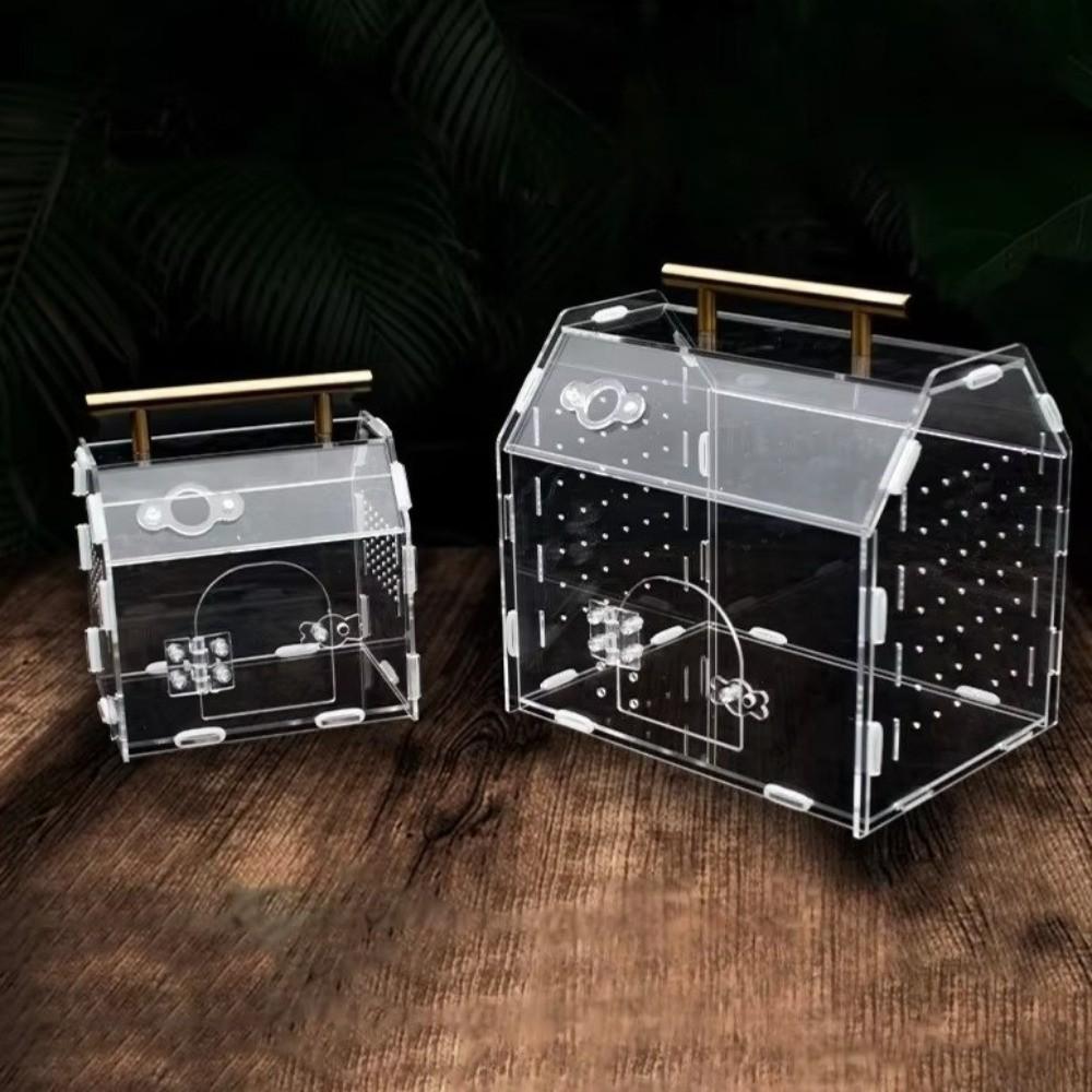 Magnetic Snap Closure Reptile Breeding Box Acrylic Spider Observation Box  Observation
