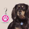 Medaglietta per cani con motivo zampa di cane, rotonda con gancio, per animali domestici, gatto, targhette ID portatili, ciondolo con nome per cucciolo, accessori per animali domestici