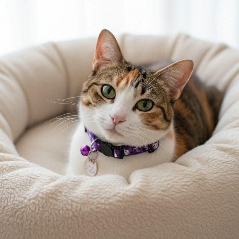 1PCS Pet collar anti suffocation adjustable safety buckle cat and dog decoration pendant neck ring 2