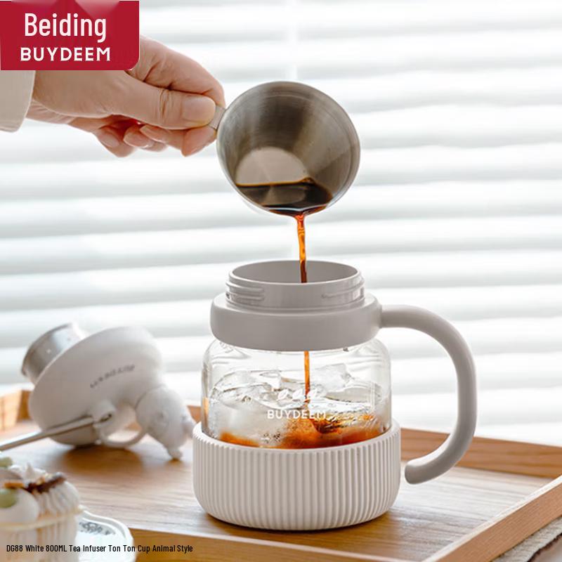 Buydeem 800ml Tea Infuser Portable Glass Bottle
