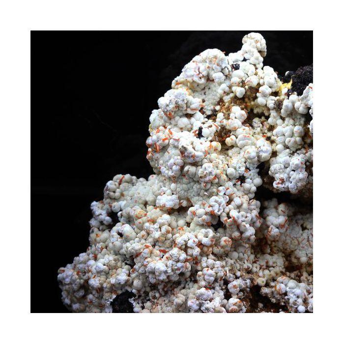 Pierres et Minéraux. Dundasite, Crocoite. 386.5 ct. Kapi Mine, North Dundas, Tasmania, Australie.