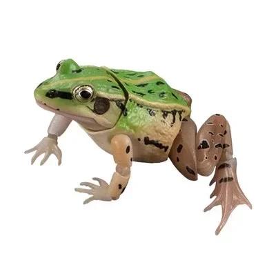 Genuine Gacha Toy Bio Guide Rana Nigromaculata Frog with Movable Joints Action Figure Toys