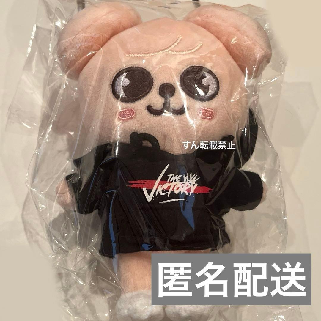 

[USED] Stray Kids Seungmin trading card plush toy puppym Stray Kids bonus