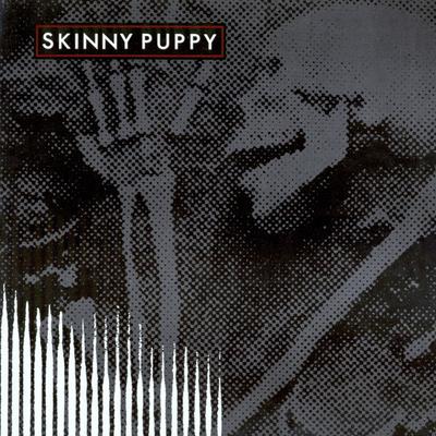 12palcová deska SKINNY PUPPY - Remission 067003008211 Nettwerk 2017 USA & Cana Dance & Electronica