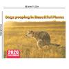 2026 Pooping Dogs Calendar Funny Gag Gifts Daily Weekly Monthly Planner & Agenda Schedule Organizer Wall Calendar for Home Decor