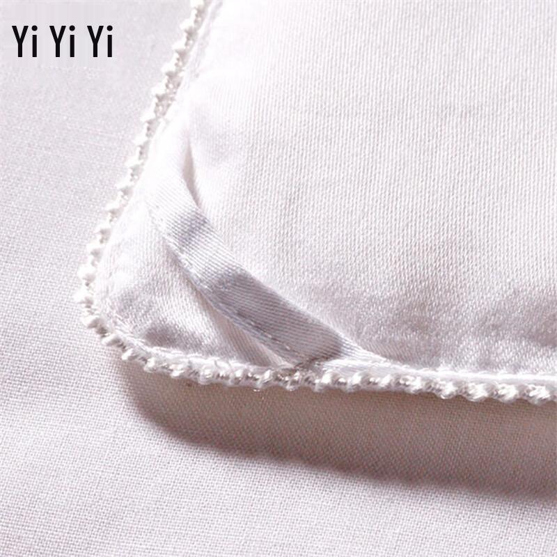 Yiyi Ai 100% Mulberry Silk Quilt