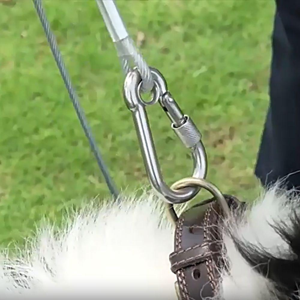 Anti-rust Pet Leash Double-headed Clothesline Durable Dog Tie Out Cable Parking