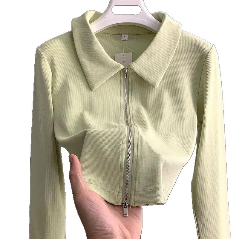 Zipper Lapel Cardigan Spring and Autumn Short Top Jacket