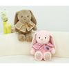 Ear Hanging Shawl Rabbit Plush Toy Clothes Can Be Disassembled Holiday Kids Gift