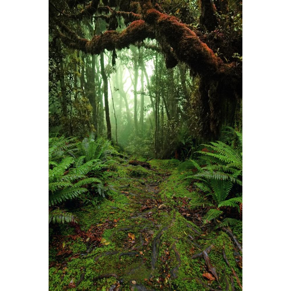 Spring Natural Scenery Forest Photography Backdrop Tropical Jungle Green Forest Tree Adventure Baby Portrait Photo Background