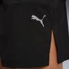 Puma Men S Dreamrun 5 Drycell Short