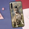 Pit Bull Lovely Dog Pitbull Case For Huawei Nova Y60 Y90 Y70 Y61 Y91 Y72 Y73 12s 12i 11i 8i 9 10 SE P30 P40 Lite P60 Pro