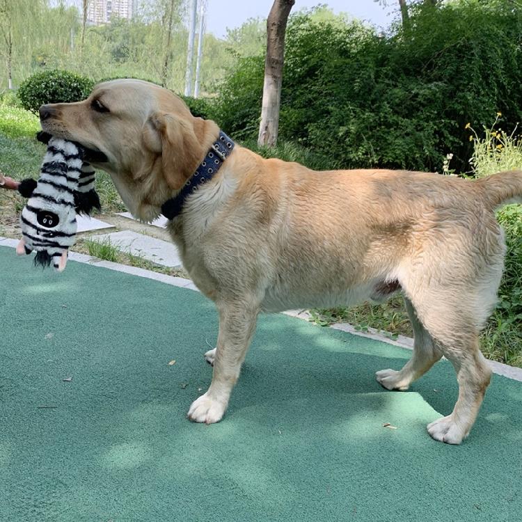 Dog Squeak Toy Interactive Chew Toy Unstuffed Plush Animal Reduce Boring