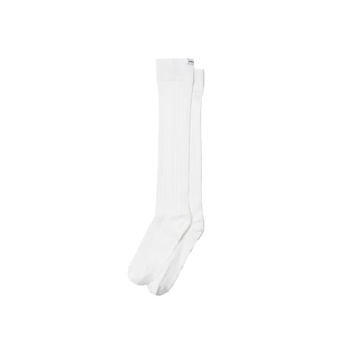 Soft Sheer Daily Socks_4 Color