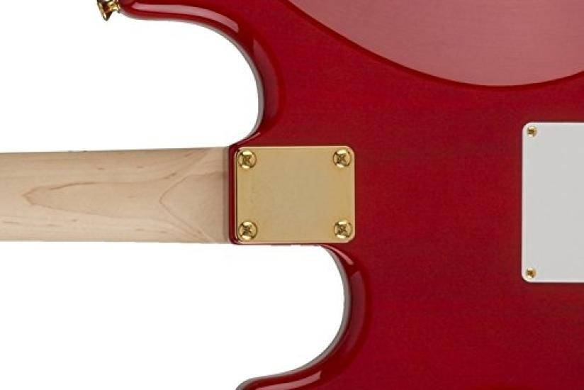 Fender 4-Bolt Vintage Neck Plate "Plain" (No Serial Number or Logo) (Gold)