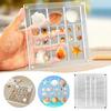 Acrylic Magnetic Seashell Display Box Large Size Seashell Storage Box Multipurpose Small Craft Organisers