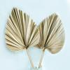 Retro Palm Leaf & Balloon Chain Decoration for Home, Parties, and Celebrations.