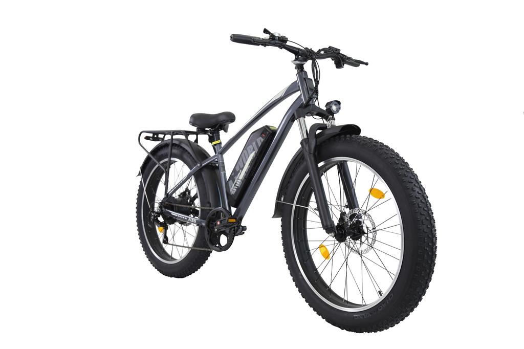 AVDL A35 E-Bike Elettrica da Neve Fuoristrada per Adulti 250W Batteria 48V15.6Ah Ruote Fat da 26 Pollici E-Bike da Montagna per Ciclismo Fuoristrada all'Aperto