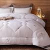 BEYOND HOME TEXTILE NuanZhen 100% Wool Comforter