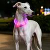 Cani – Collari e guinzagli per cani