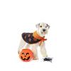 Pet Halloween Cape and Hat Cloak, Small Medium Dog Costume for Festive Celebration