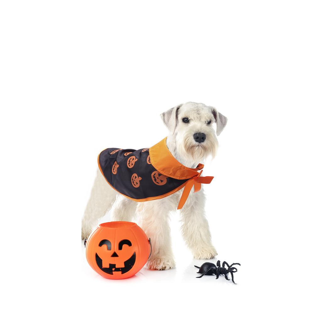 Pet Halloween Cape and Hat Cloak, Small Medium Dog Costume for Festive Celebration