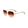 Kate Young Women S 56mm Gold SunglaSSeS Gold