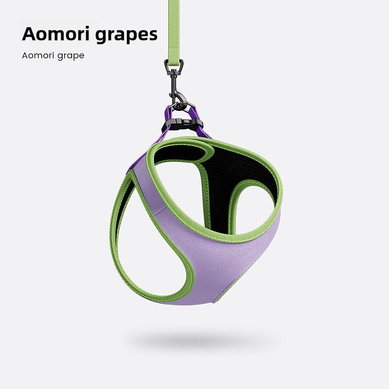 

Собачий поводок, Шлейка для маленькой собаки, Собачий поводок, Шлейка-жилет для собаки породы тедди, Поводок для собаки породы бишон фризе S циан