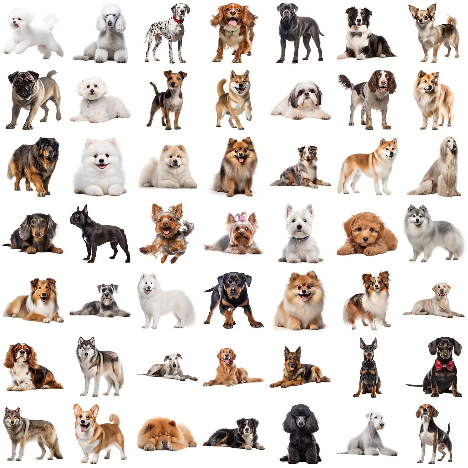 

50 штук Набор наклеек Коллекция собак Водонепроницаемые Прозрачные ПЭТ Материал для блокнота Декоративные Наклейки для гитары Ноутбука DIY