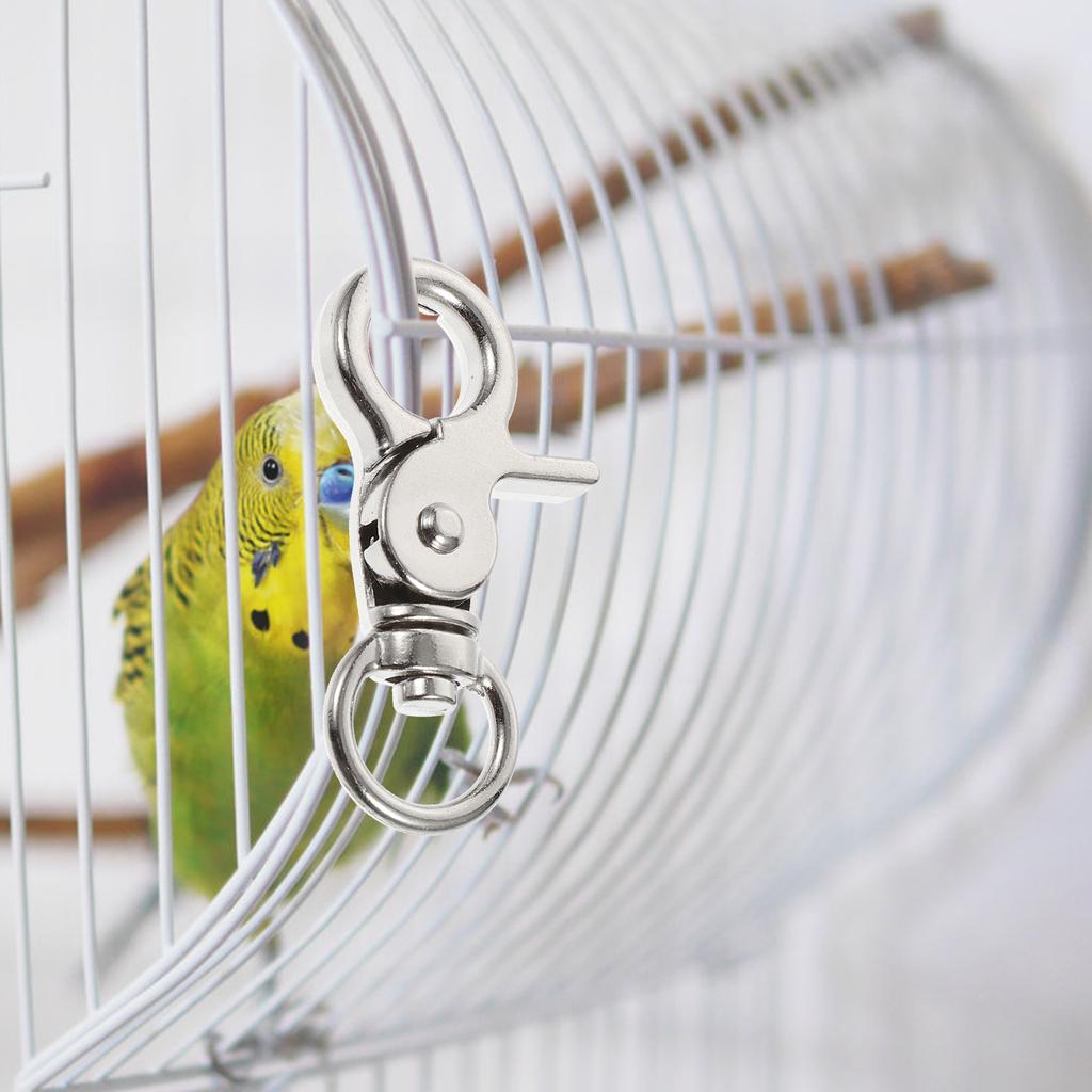 5 Stück Vogel Papageienkäfig Sicherheitsverschluss Haustier Vogelkäfige Nester Edelstahl Hummerverschluss Türschloss Schnalle Schwenkbar