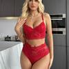 Sex Underwear New Sexy Female Lace Mesh Suit Set Batch