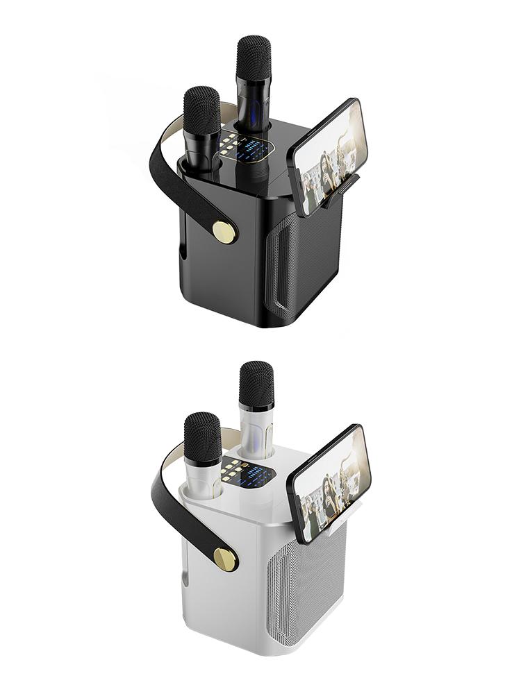 Wireless Bluetooth Speaker Dual Microphone Portable Karaoke Speaker Home Theater