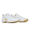 Air Jordan 12 Low Golf Masters Uomo DM0106-117